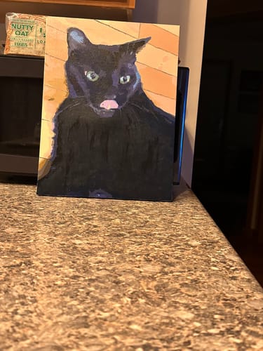 Customer photo review of Custom Pre-Framed Canvas Paint by Number Kit - Upload Your Photo - Brush Set Included