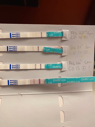 Customer photo review of Ovulation Test Strips