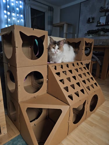 Customer photo review of Katzenhaus Royal Castle - braun