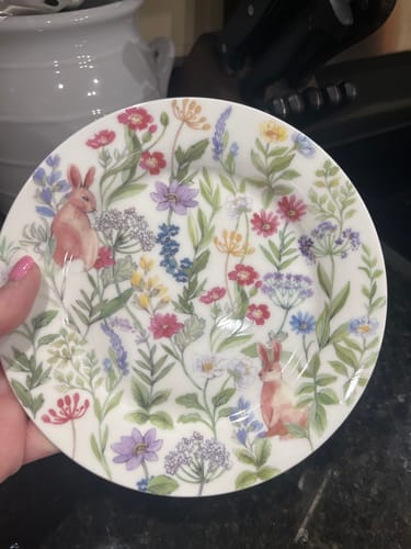 Customer photo review of 7.5" Bunny Meadow Bone China Dessert Plate Set of 4