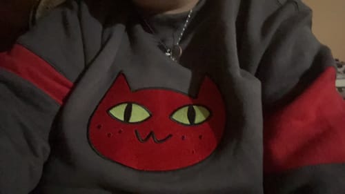Customer photo review of Cat Sweater