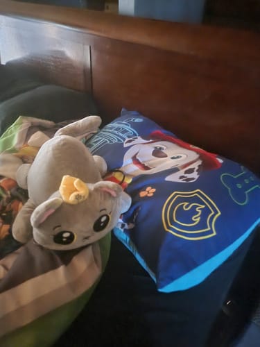 Customer photo review of Eloise in Space Cat Plushy