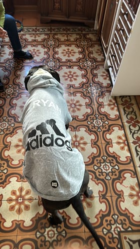 Customer photo review of Felpa "Adidog" Grigia Personalizzabile con nome