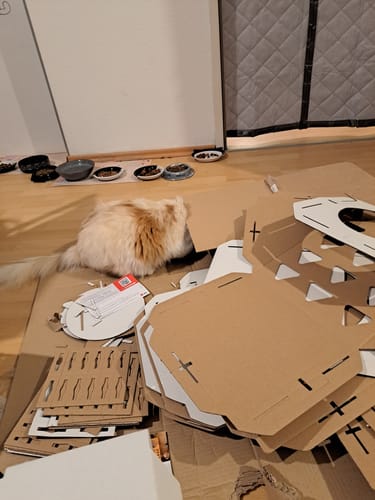 Customer photo review of Katzenhaus Royal Castle - weiß