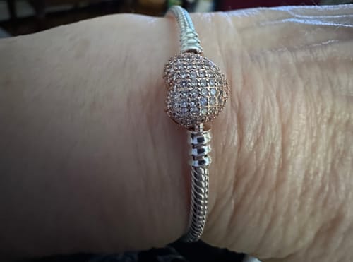 Customer photo review of Pandora Moments Bracelets