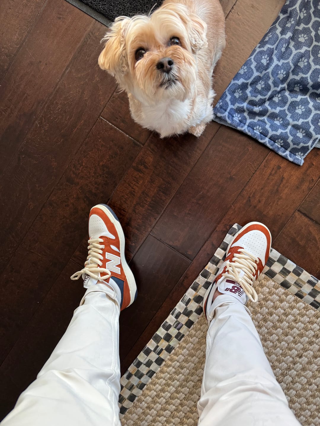 Customer photo review of Thick Oval Shoe Laces (Nike SB Laces)
