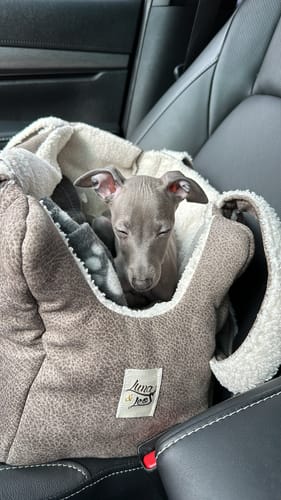 Customer photo review of Trasportino Montone Grigio