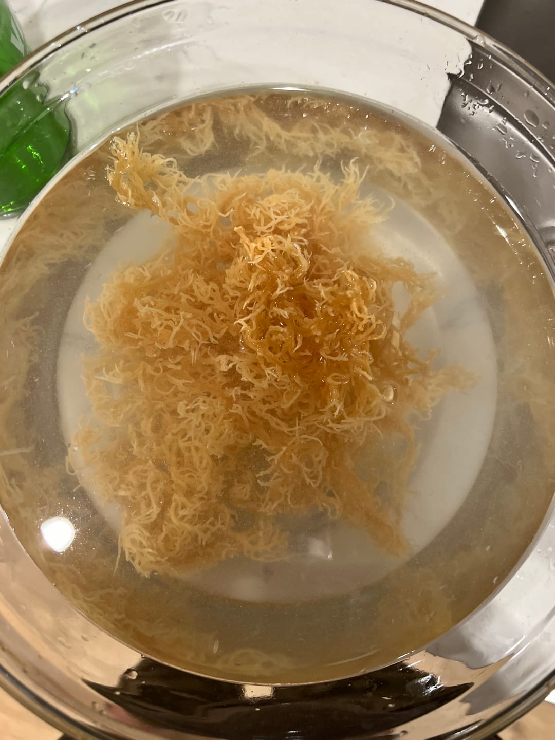 Customer photo review of Raw Wildcrafted Sea Moss 4oz