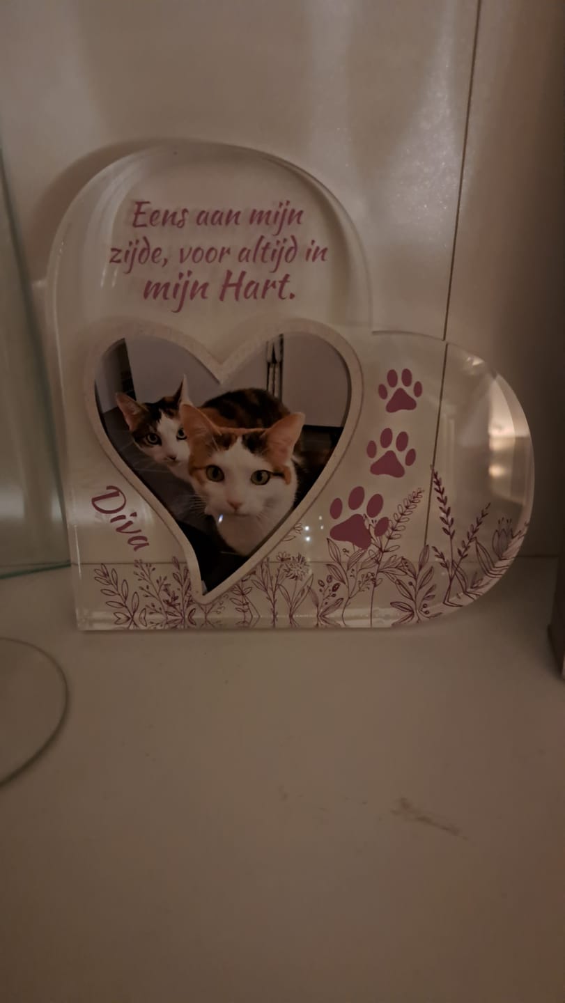 Customer photo review of Eens aan mijn zijde - Gepersonaliseerd glazen hart