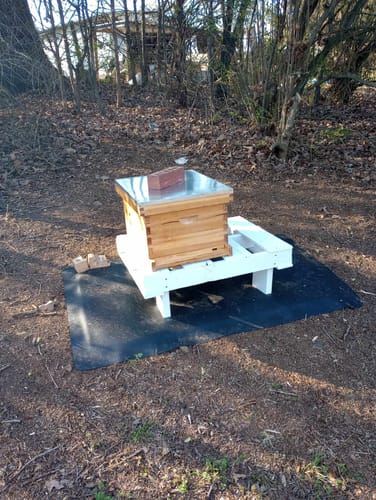 Customer photo review of BeeCastle Beehive 10 Frame 2 Layer Complete Langstroth Beeswax Coated Hive Kit!Unassembled Hive Includes 1 Cedar Wood Deep Bee Box and 1 Cedar Wood Medium Box.Craft Your Own Buzzing Haven! 🐝