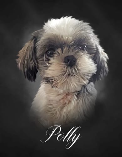 Customer photo review of Portrait Huilé