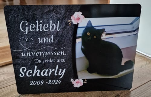 Customer photo review of Katzen Gedenktafel mit Foto & Spruch (UV- & Wetterfest)