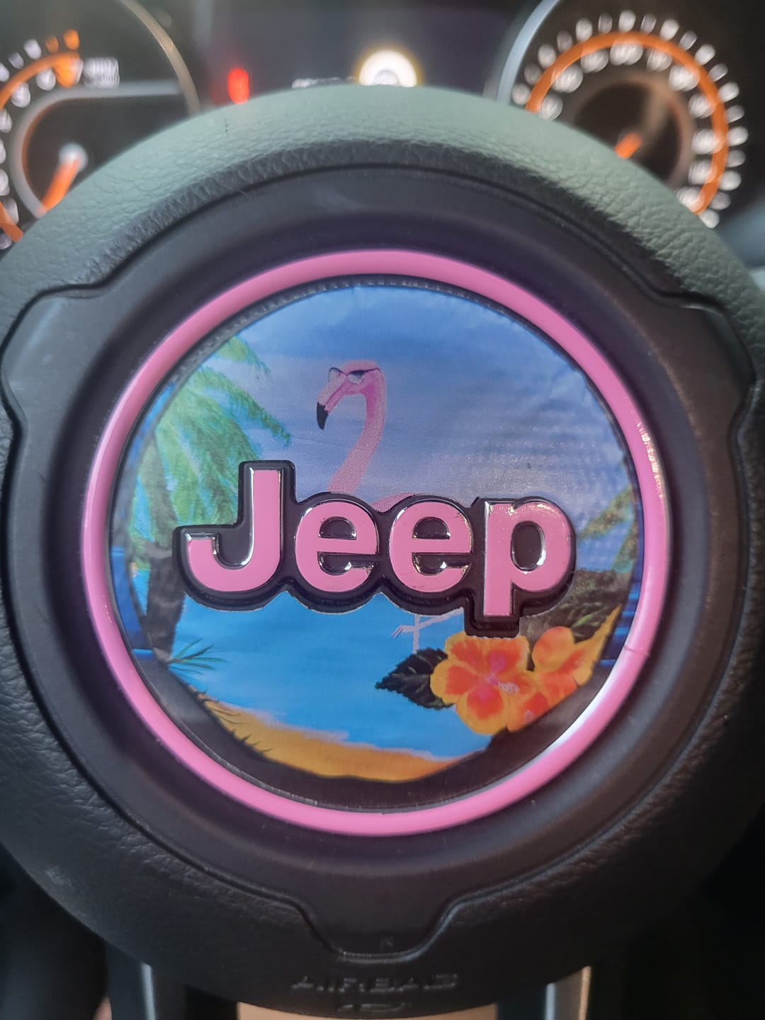 Customer photo review of Center Ring Steering Wheel Vinyl Overlay Cover for Jeep | Fits Jeep Models