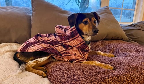 Customer photo review of Free & Easy Return or Exchange Coverage + Package Protection