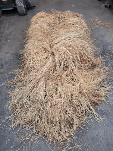 Customer photo review of Hunting Blind Raffia Grass (Individual)