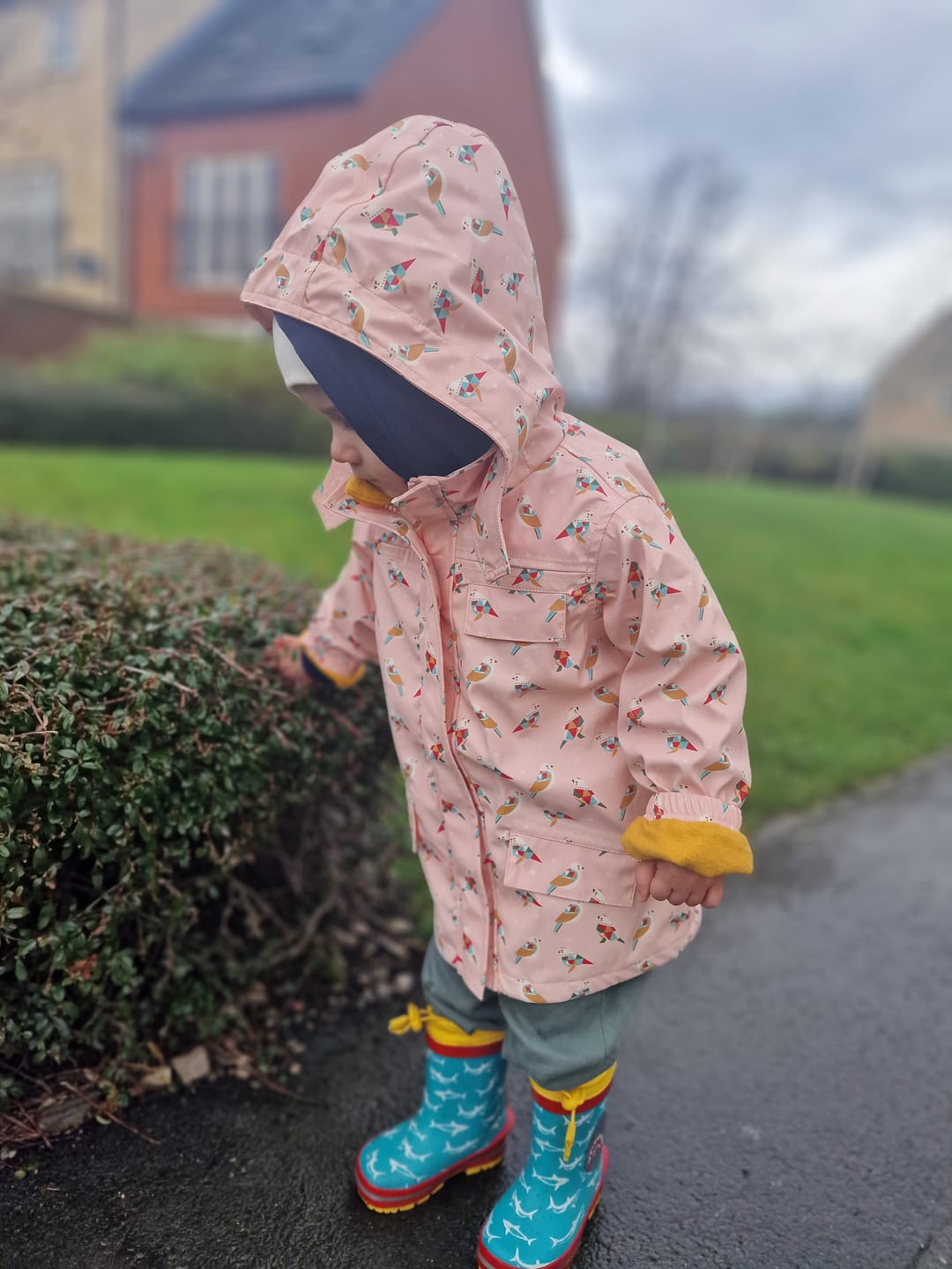 Customer photo review of Origami Birds Waterproof Recycled Raincoat