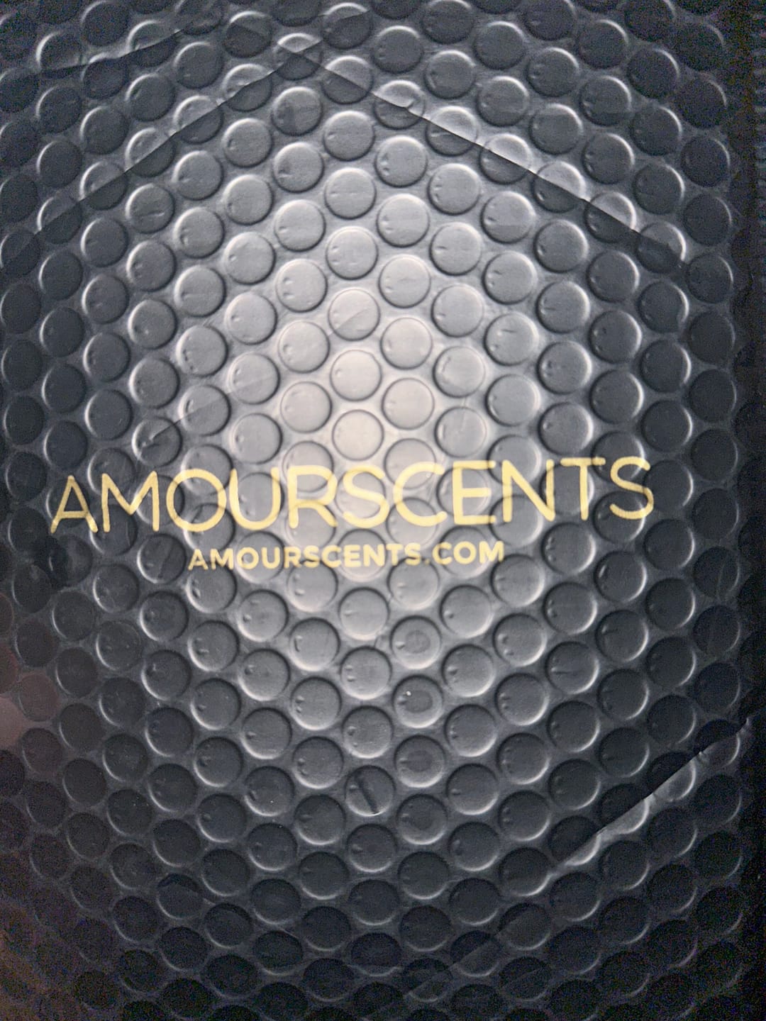 Customer photo review of Alien (Inspired) - Abduction