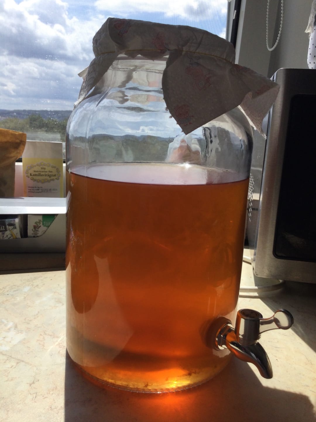 Customer photo review of Kombucha-Meisterkit: BIO Scoby & Starterflüssigkeit