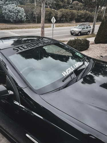 Customer photo review of Custom Car Banner Combo