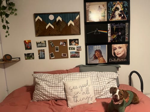 Customer photo review of 12" Vinyl Record Display Frame - LP Wall Storage