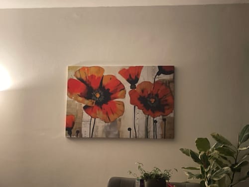 Customer photo review of Papaveri nella storia