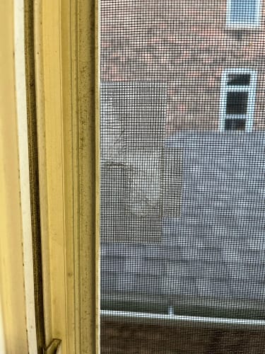 Customer photo review of ScreenSaver Repair Tape™ -  1 + 1 GRATIS