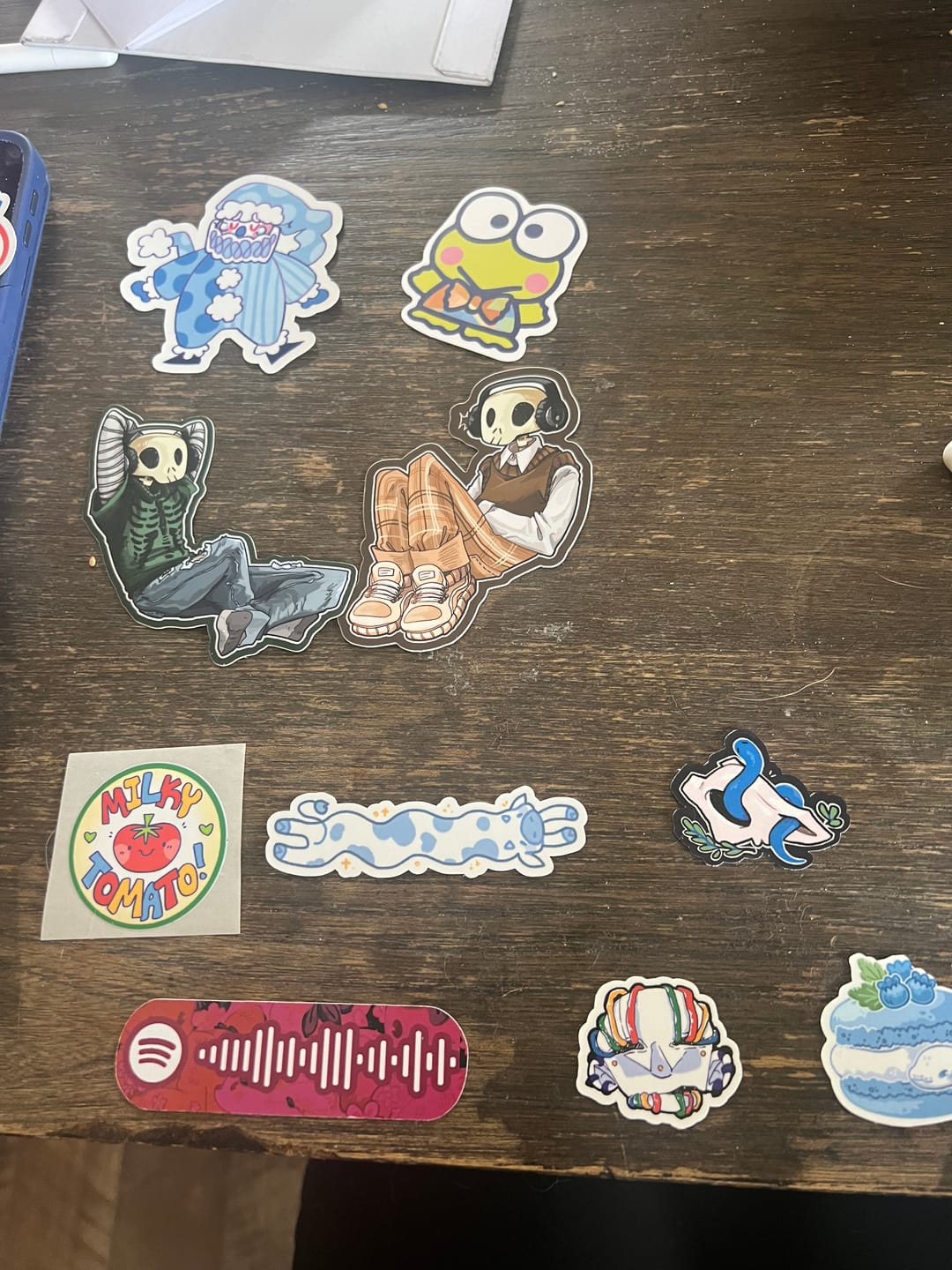 Customer photo review of Aesthetic Skeleton Stickers