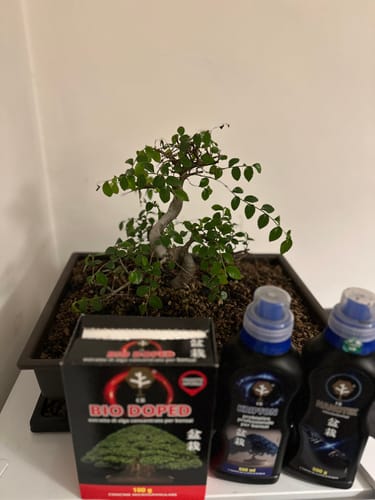 Customer photo review of CURA TOTALE PACK