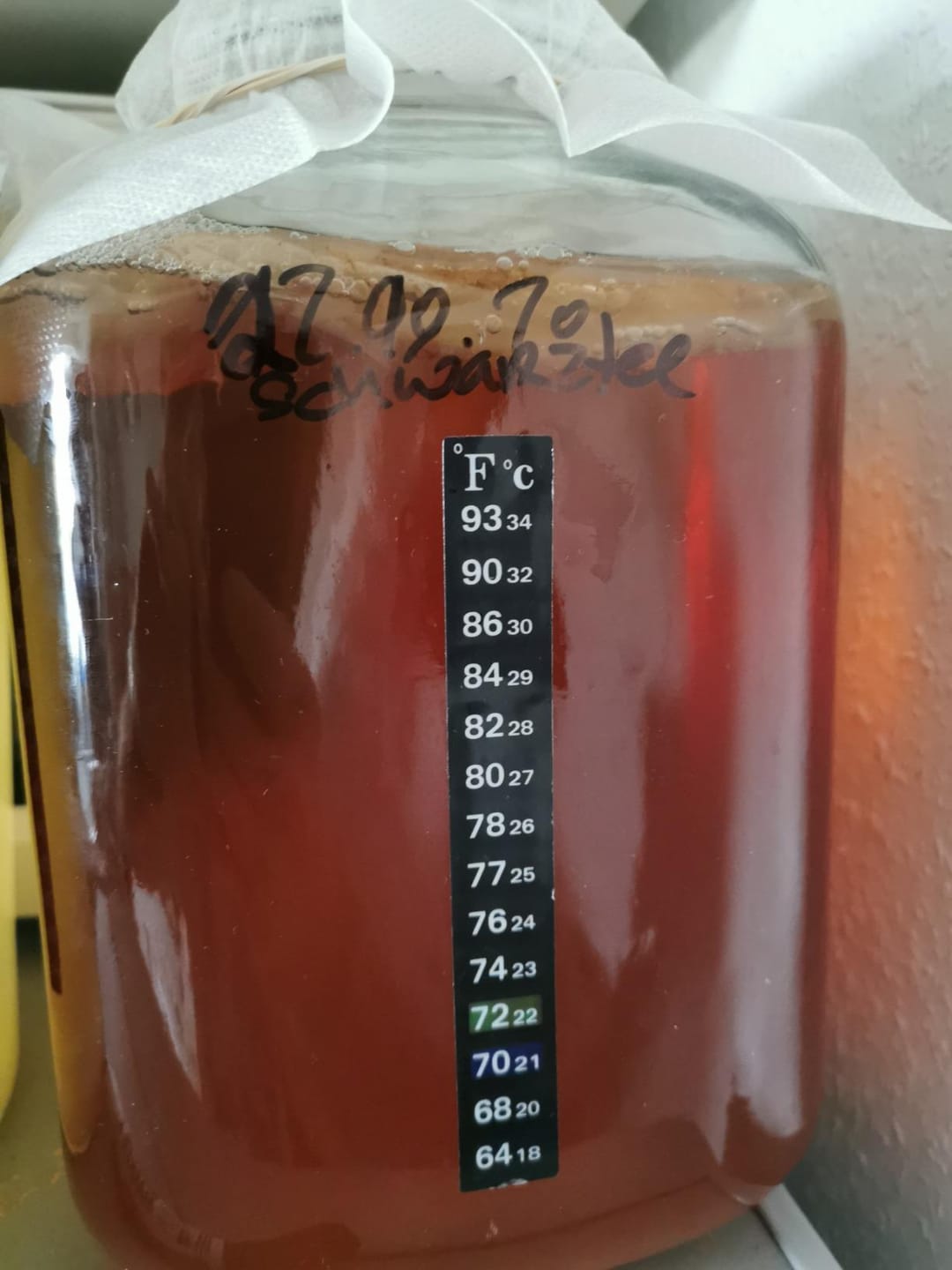 Customer photo review of Kombucha-Meisterkit: BIO Scoby & Starterflüssigkeit
