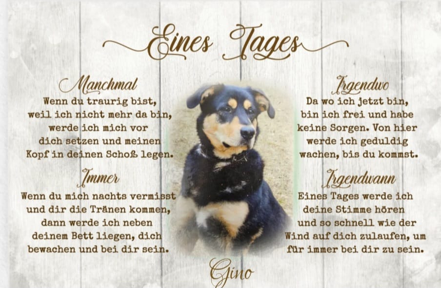 Customer photo review of Eines Tages - Individuelle Leinwand