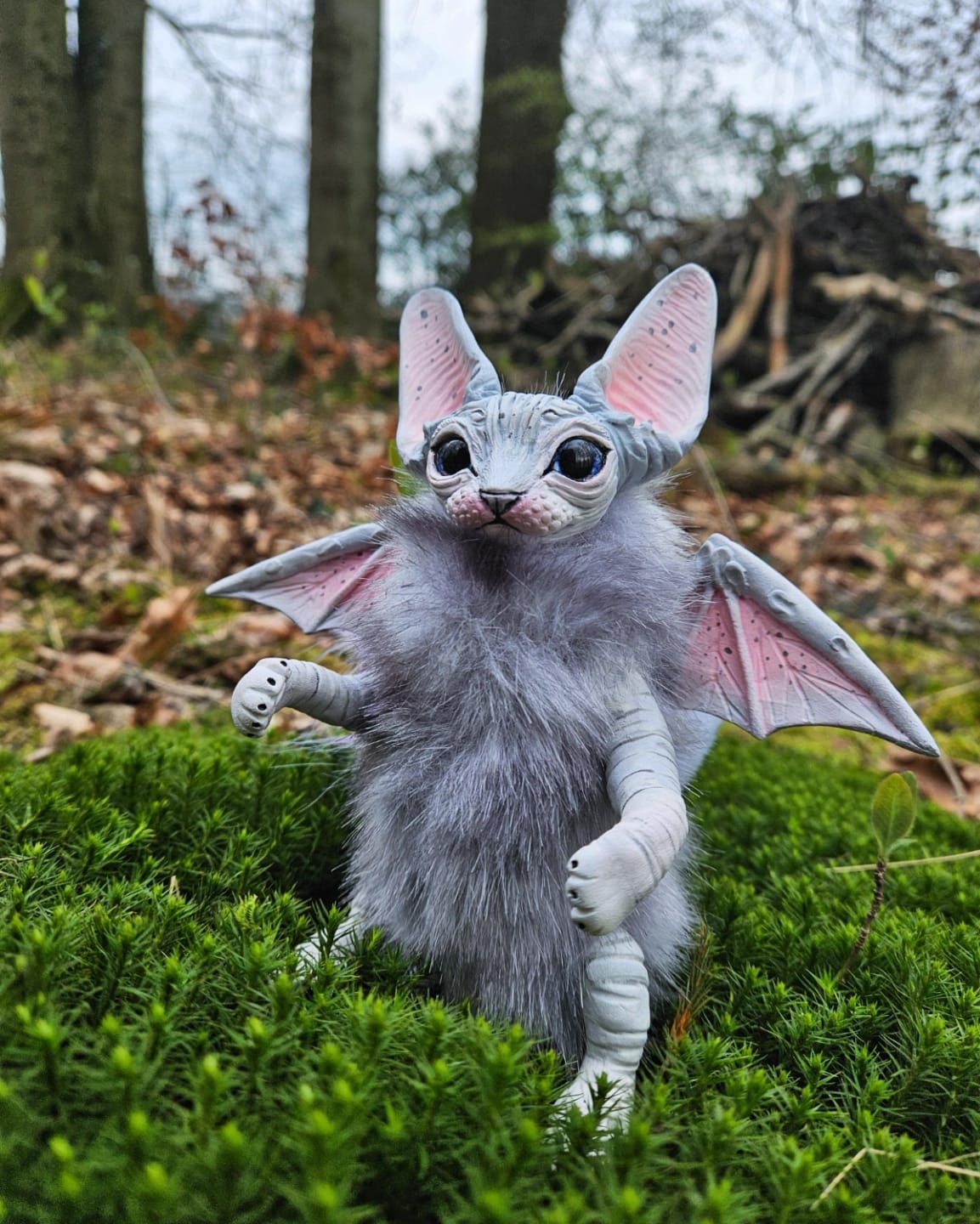 Customer photo review of Dark-grey baby batcat