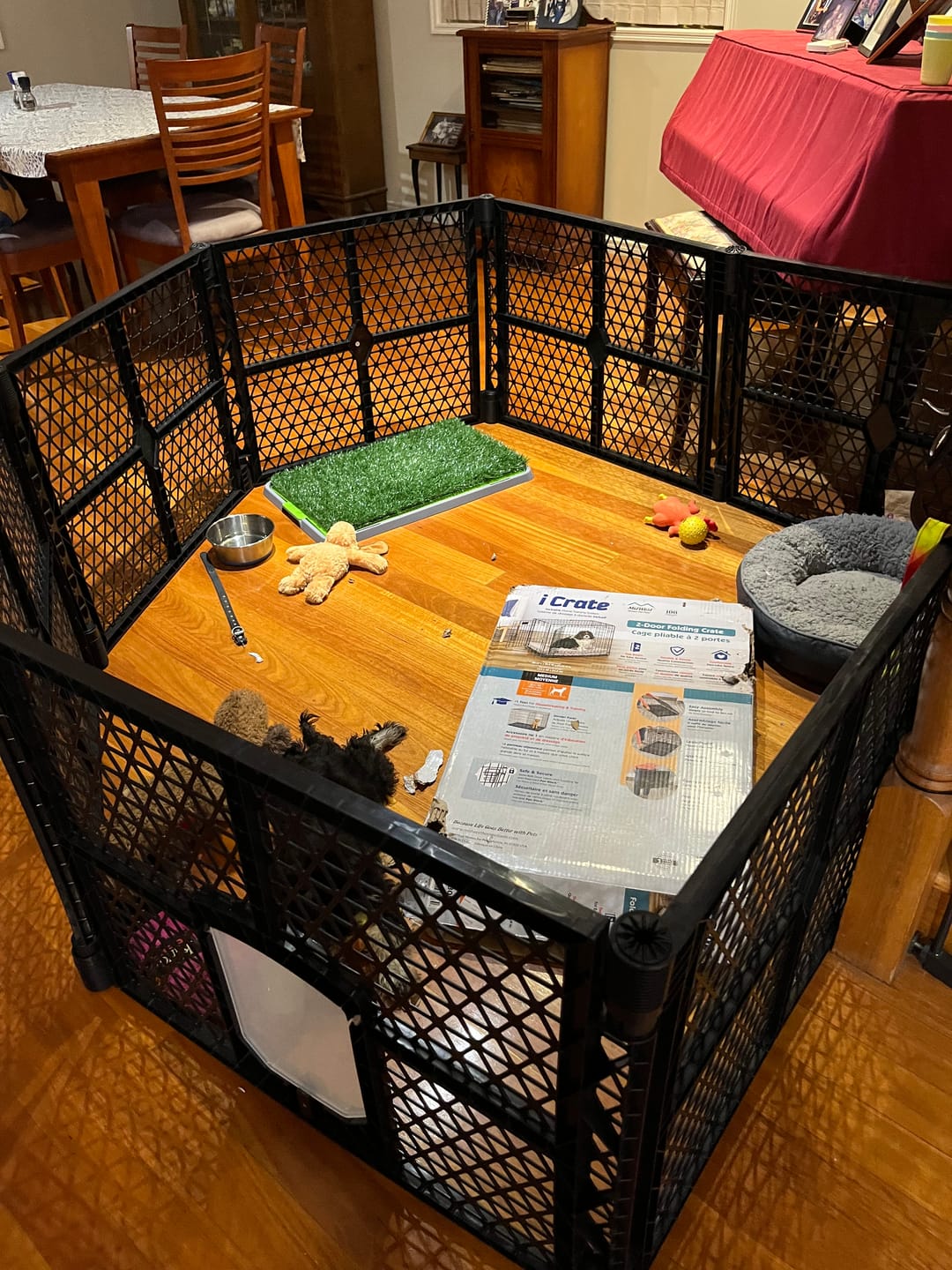 Customer photo review of PaWz Pet Foldable Portable Playpen Garden Outdoor