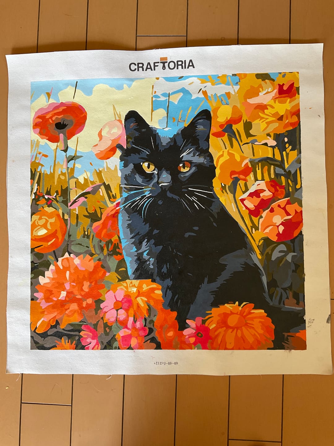 Customer photo review of Sunny Feline