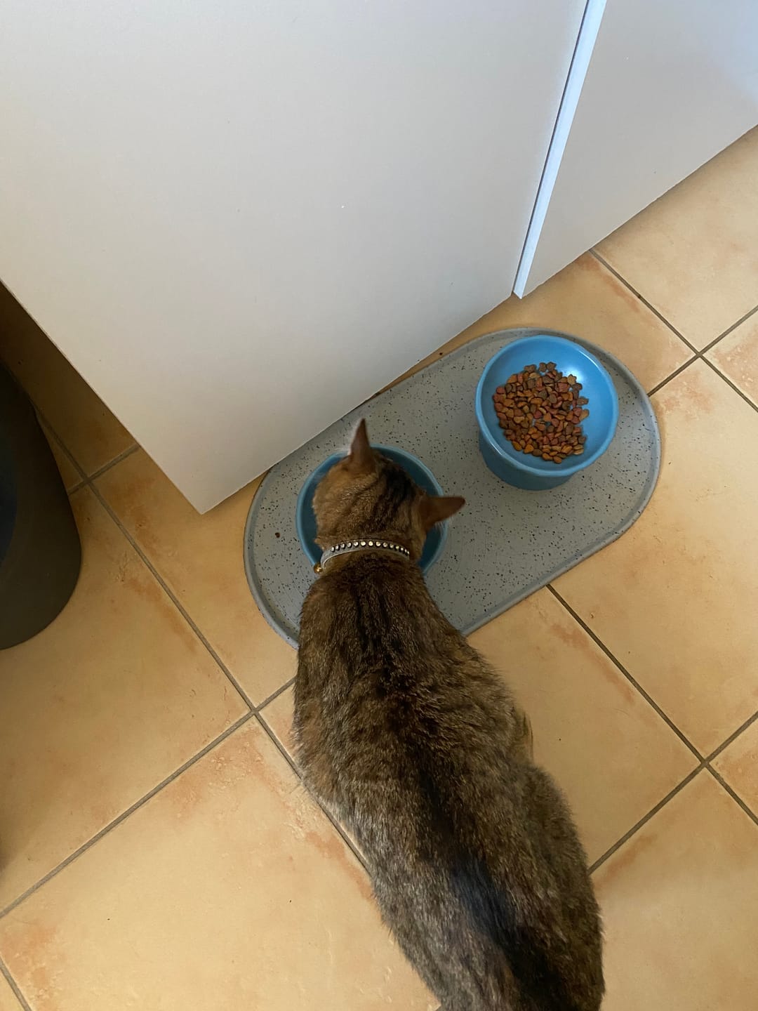 Customer photo review of Tilting Ceramic Cat Bowls With Uneven Texture