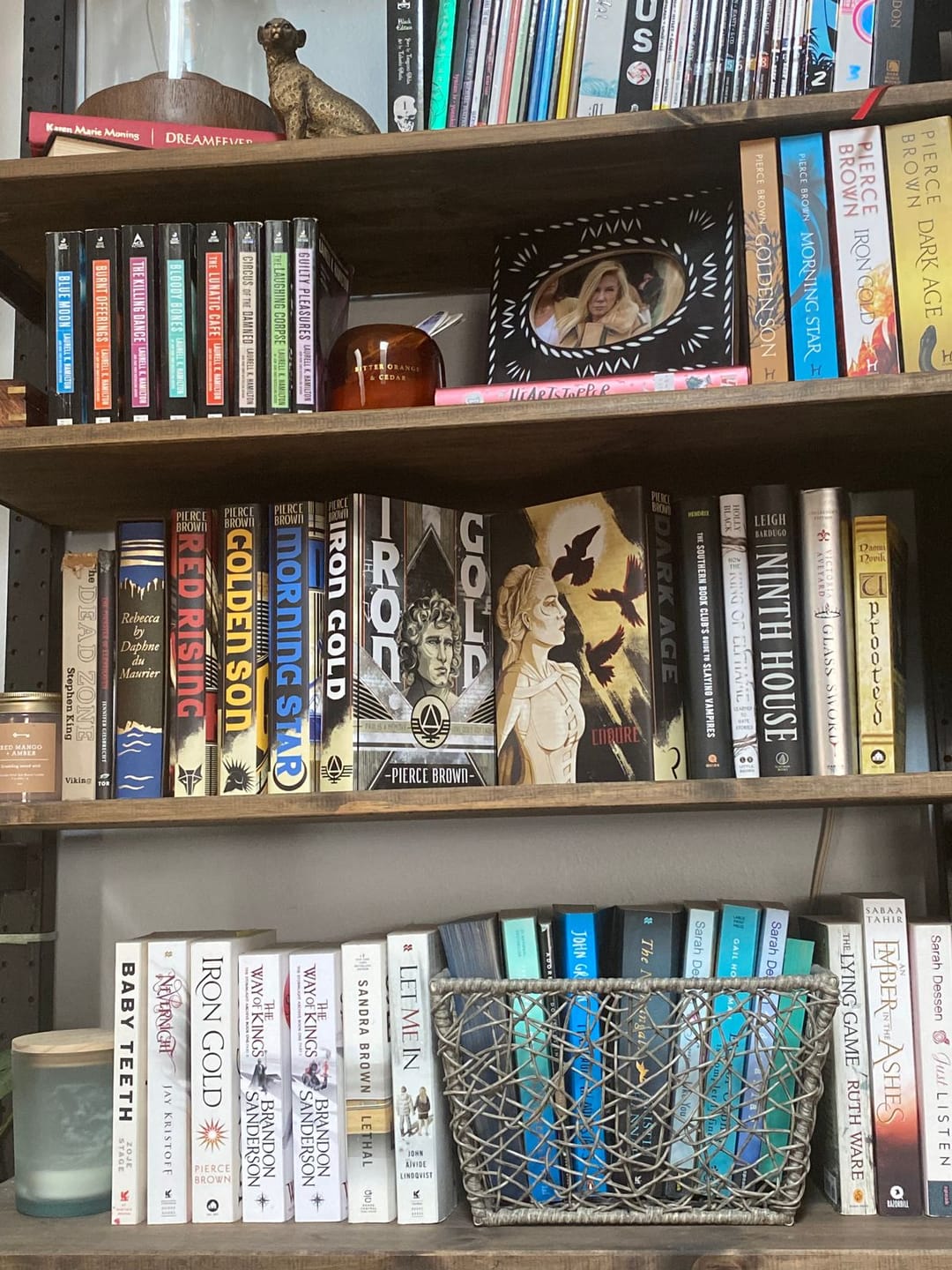 Customer photo review of Red Rising Dust Jackets