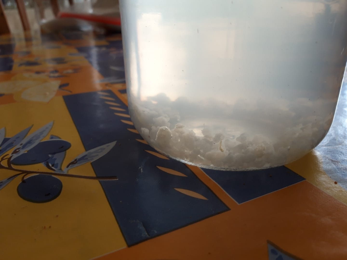 Customer photo review of BIO Wasserkefir-Kickstart: Potente Japankristalle