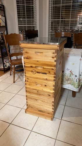 Customer photo review of BeeCastle Professional Beekeeping Starter Kit:Complete 10 Frame Deep Brood Bee Box with 22 Essential Beekeeping Equipment for Beekeeping Enthusiasts