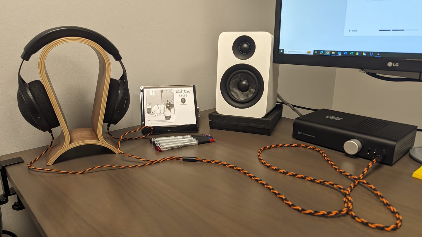 Customer photo review of Focal Elex Headphones