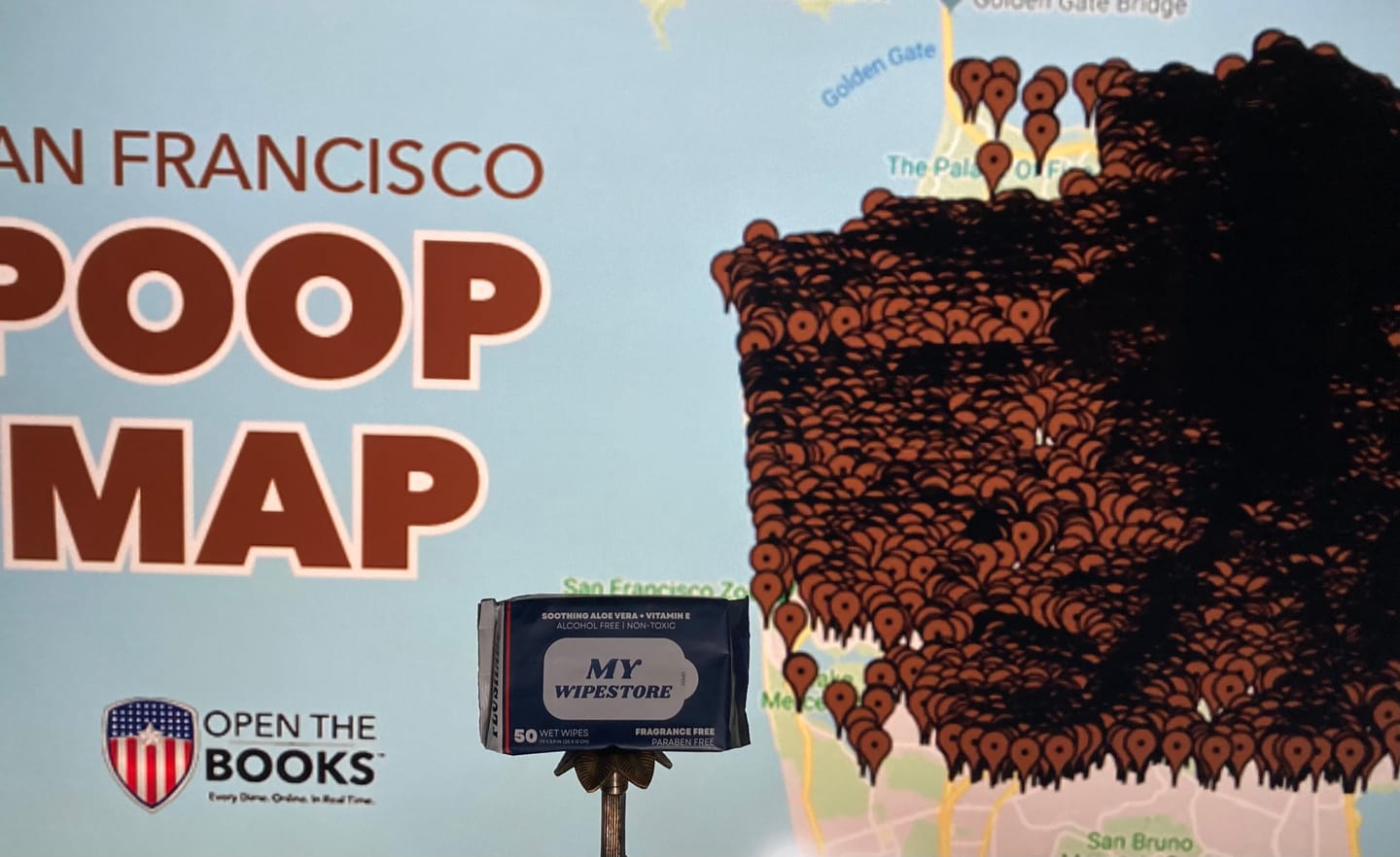 Customer photo review of My Wipes Premium Flushable Wipes