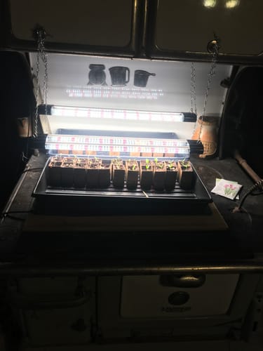 Customer photo review of How to Start Seeds E-Book