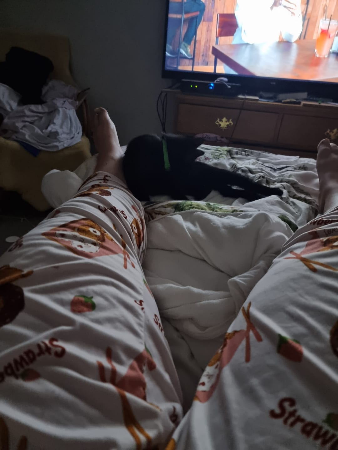 Customer photo review of DrPaws® 8 Months Flea and Tick Free Collar