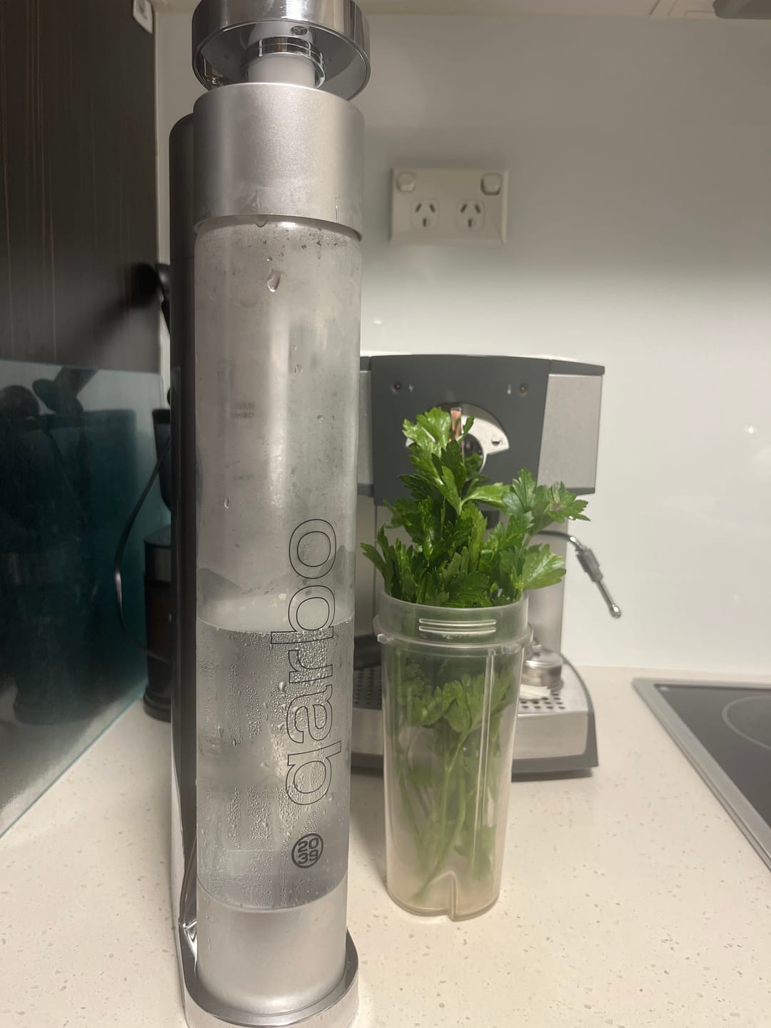 Customer photo review of qarbo CLASSIC - Sparkling Water Maker and Fruit Infuser