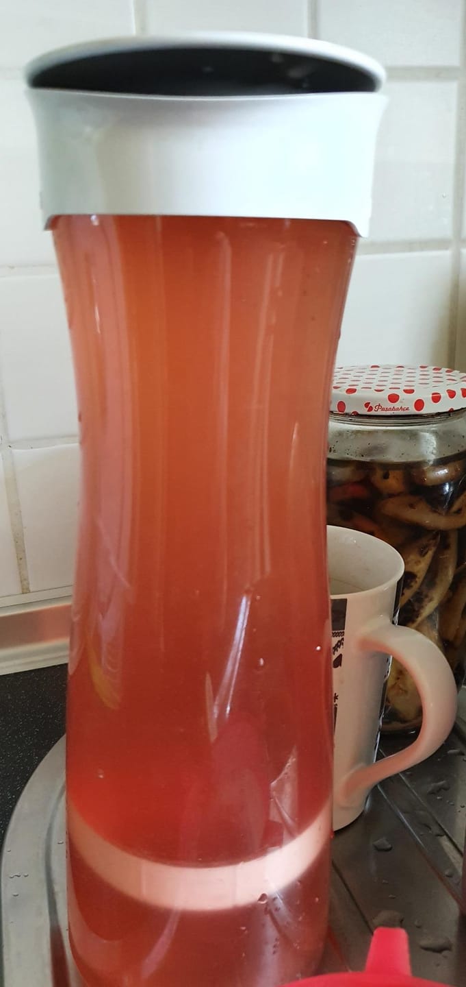 Customer photo review of Kombucha-Meisterkit: BIO Scoby & Starterflüssigkeit
