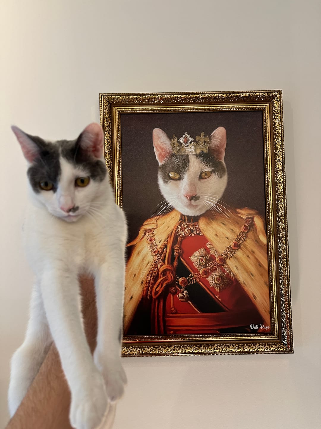 Customer photo review of The King of the Seven Kingdoms