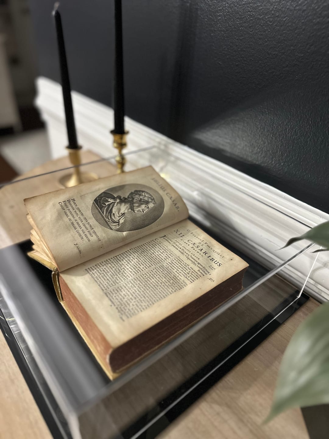 Customer photo review of Acrylic Double Sheet Book Display Cases