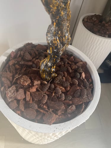 Customer photo review of 10 liter Frans Boomschors