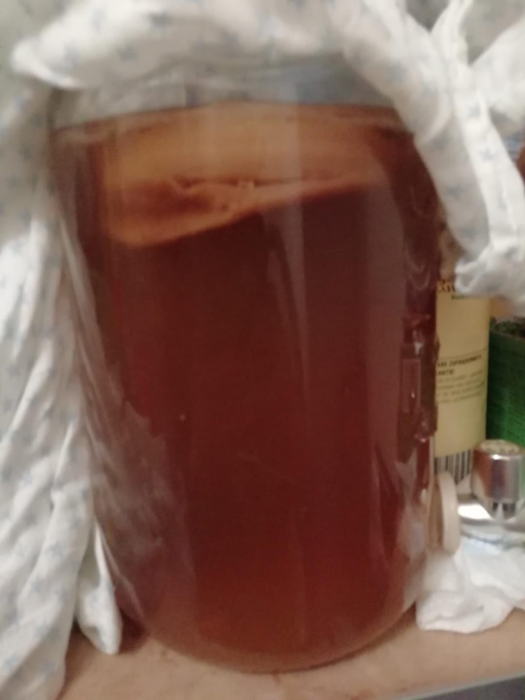 Customer photo review of Kombucha-Meisterkit: BIO Scoby & Starterflüssigkeit