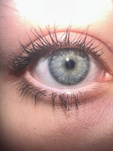 Customer photo review of Eyelash Curlers