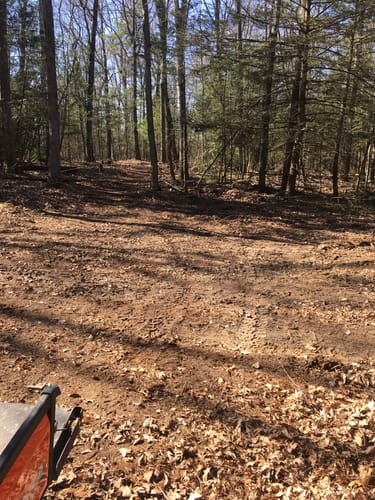 Customer photo review of DIRTY DEEDS™ SOIL CONDITIONER