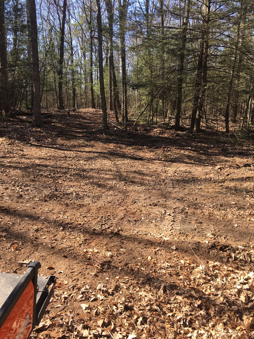 Customer photo review of DIRTY DEEDS™ SOIL CONDITIONER